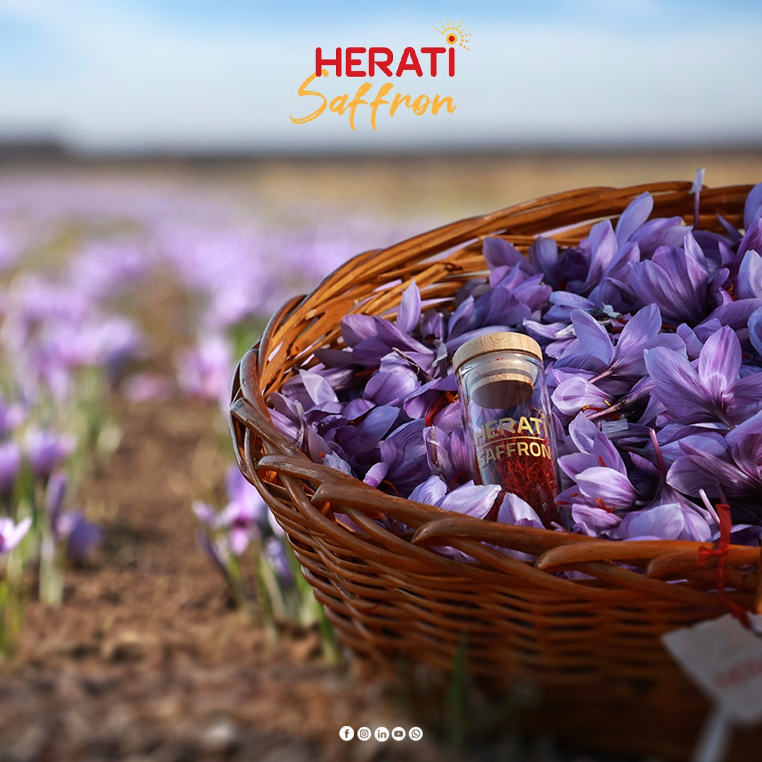 Herati Saffron: The Story of the World’s Purest Gold