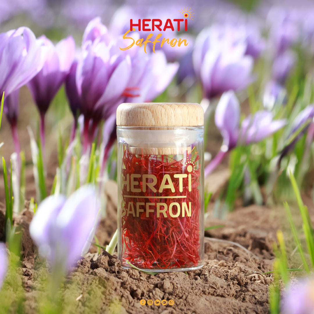 Saffron Gift Box – 7g (0.25oz) | Premium Herati Saffron