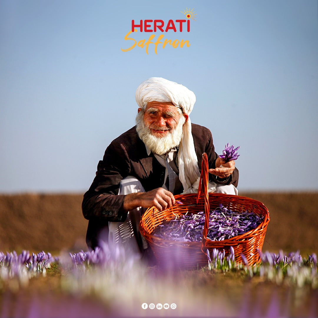 Saffron Super Negin – 2g (0.07 Oz) “Glory Edition”